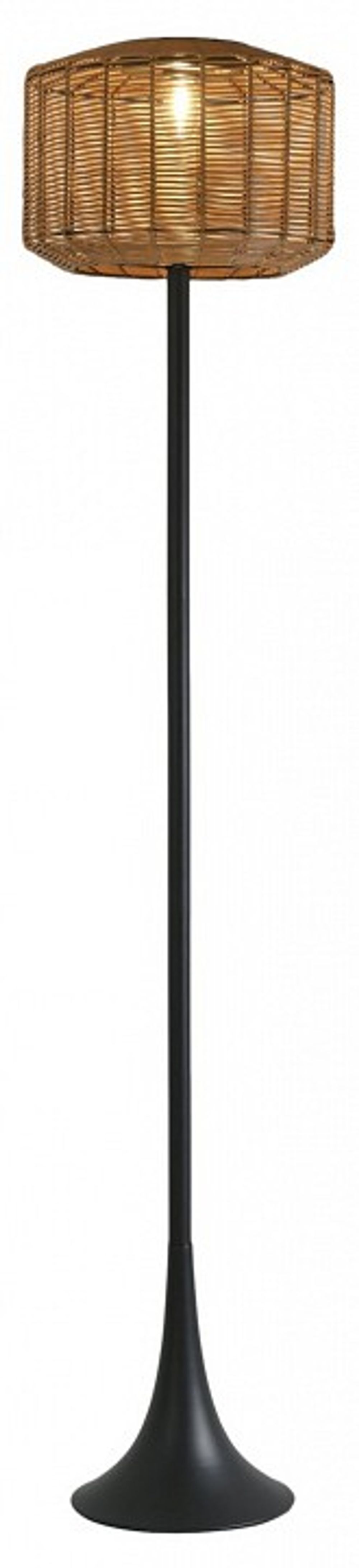 Торшер Favourite Assolato 4833-1F