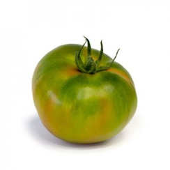 Монтенегро F1 семена томата (Rijk Zwaan / Райк Цваан)