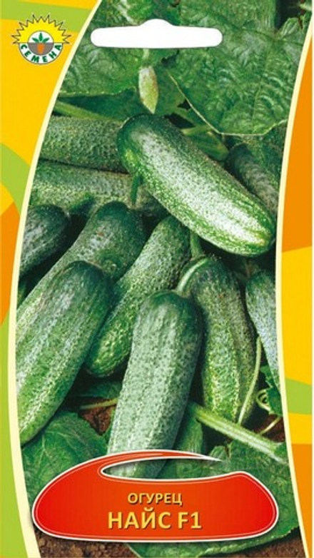 Огурец "Найс F1" 0,3г., Сербия.