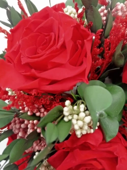 натуральные розы в стекле, вакуум*