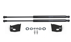 Газовые упоры капота Rival для Evolute I-Pro (2022-), 2 шт., A.ST.0601.1