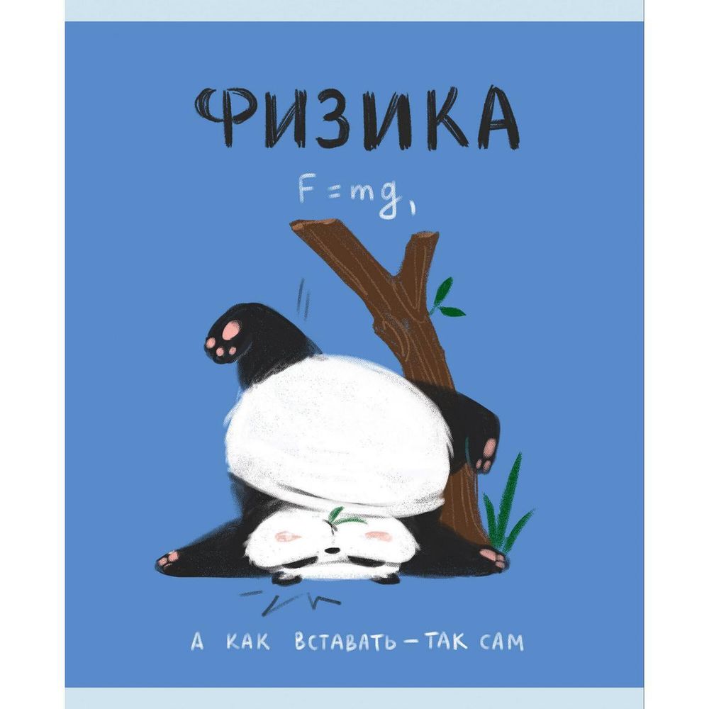 Тетрадь предметная А5 48л &quot;Панда. Физика&quot; (Эксмо)