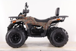 Квадроцикл SHARK III 250