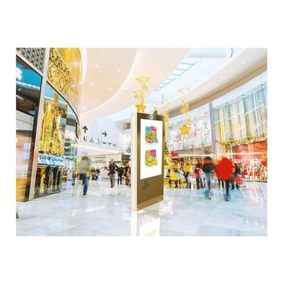 Информационный киоск Olodim STATUS DOUBLE 50"