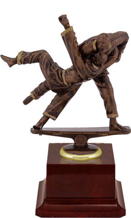 2306-190 Награда Дзюдо