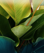 Дизайнерские обои Wall Street Frame-2019