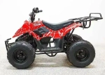 Электроквадроцикл Green Camel Гоби K51 (36V 800W R7 Цепь) ножной тормоз