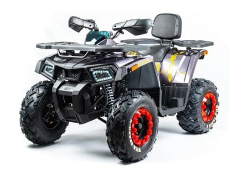 Квадроцикл MOTOLAND 200 WILD TRACK X PRO