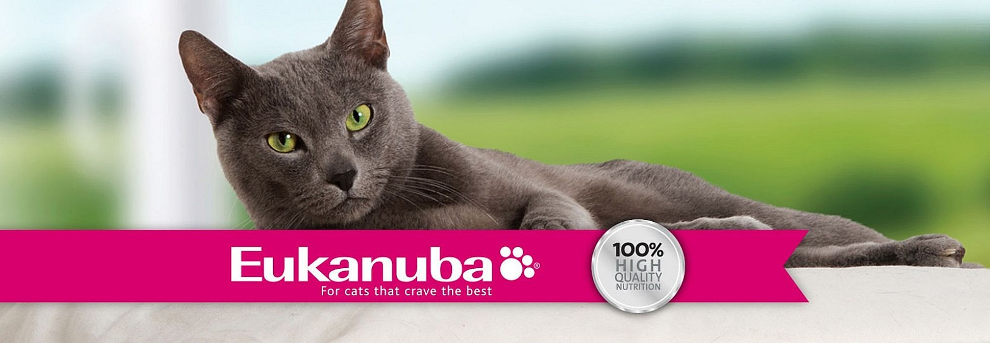 Баннеры Блок 14