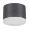 358084 STREET NT19 385 темно-серый Ландшафтный светильник IP54 LED 3000К 12W 220V KAIMAS
