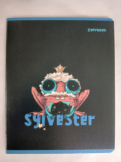 Тетради 48 листа А5+. "Сильвестр", общая, клетка. Формат А5+ (163*203 мм). Арт.120008. С полями. Комплект 5 шт.