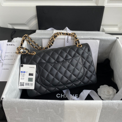 Chane1 Classic Flap Bag 25 cm