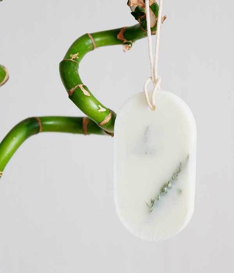 Аромасаше Хвойный лес, Sens