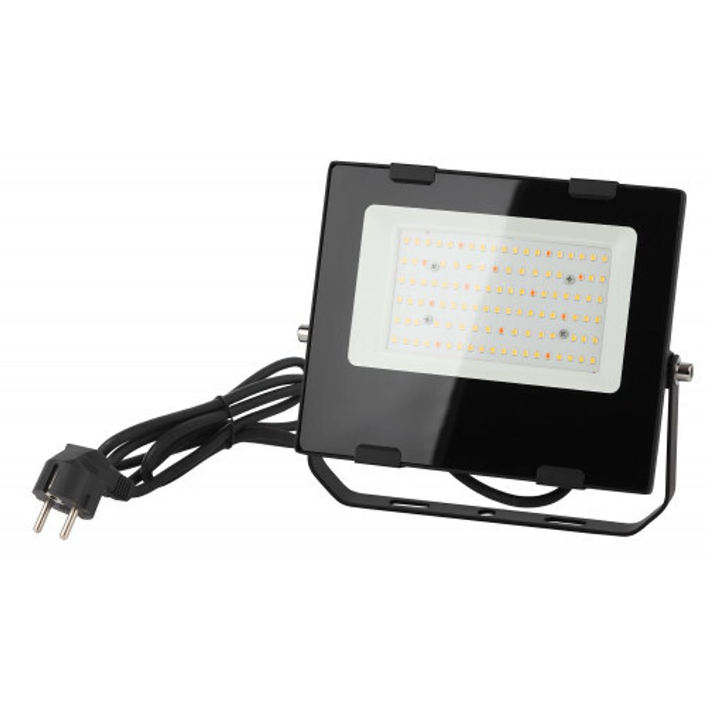 Фитопрожектор для растений светодиодный ЭРА FITO-50W-Ra90-LED для цветения и плодоношения полного спектра 50 Вт