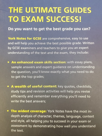 Lord of The Flies: York Notes for GCSE