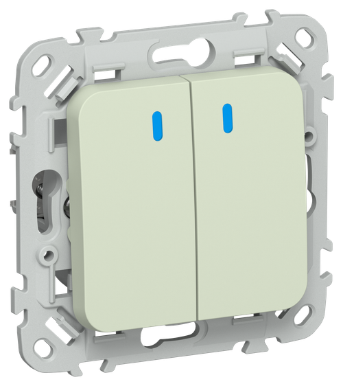 FLITE Выключатель 2-клавишный с индикацией 10А ВС12-1-1-ФлП панг IEK