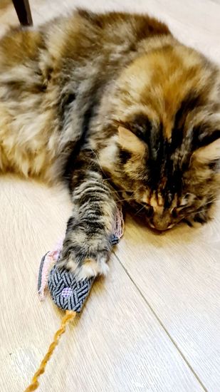 Игрушка для кошек, Мыша - рыбка