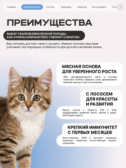 Корм сухой для котят породы Курильский бобтейл, с лососем, 2 кг, QUATTRO