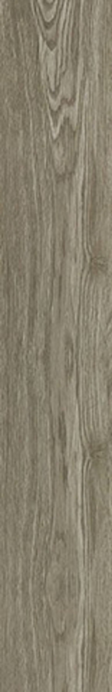 Керамогранит Wood Forest mat (NTT92306M)