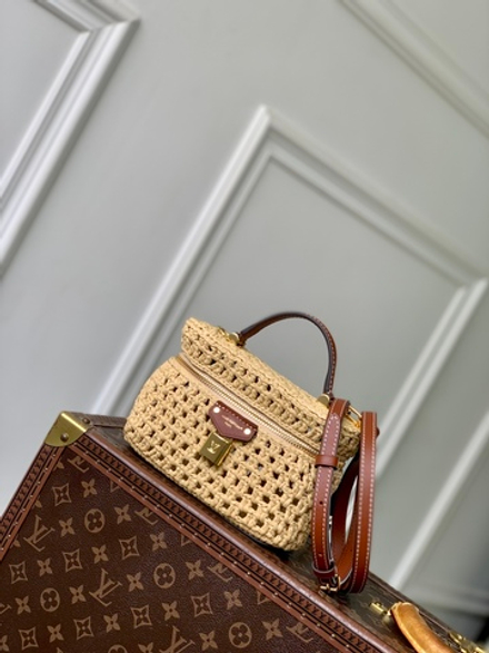 Louis Vuitton Vanity Chain Pouch