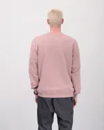 Толстовка ANTEATER Crewneck Пудра