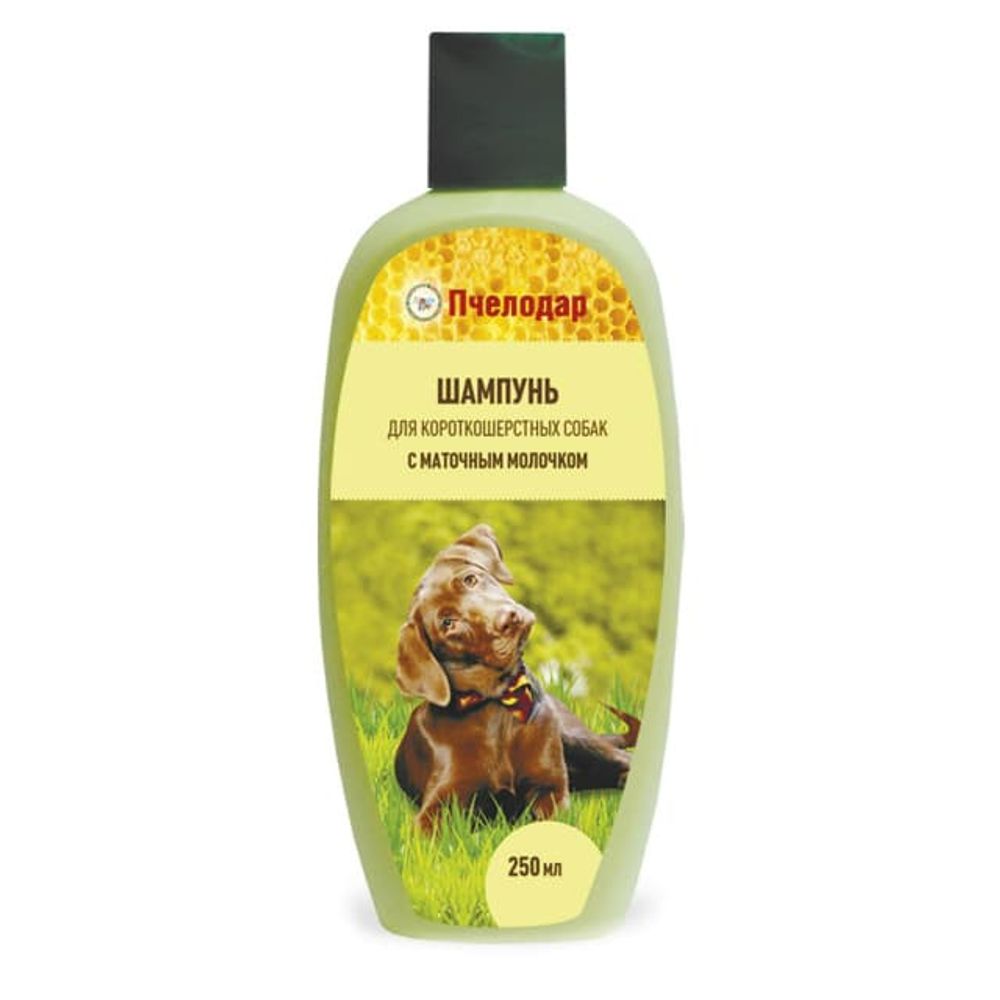 Шампунь с маточным молочком для короткошерстных собак, 250 мл. / 1033 ПЧЕЛОДАР Шампунь с маточным молочком для короткошерстных собак, 250 мл. / 1033 ПЧЕЛОДАР