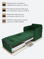 Кресло-кровать "Миник" с подлокотниками, купон Тигр