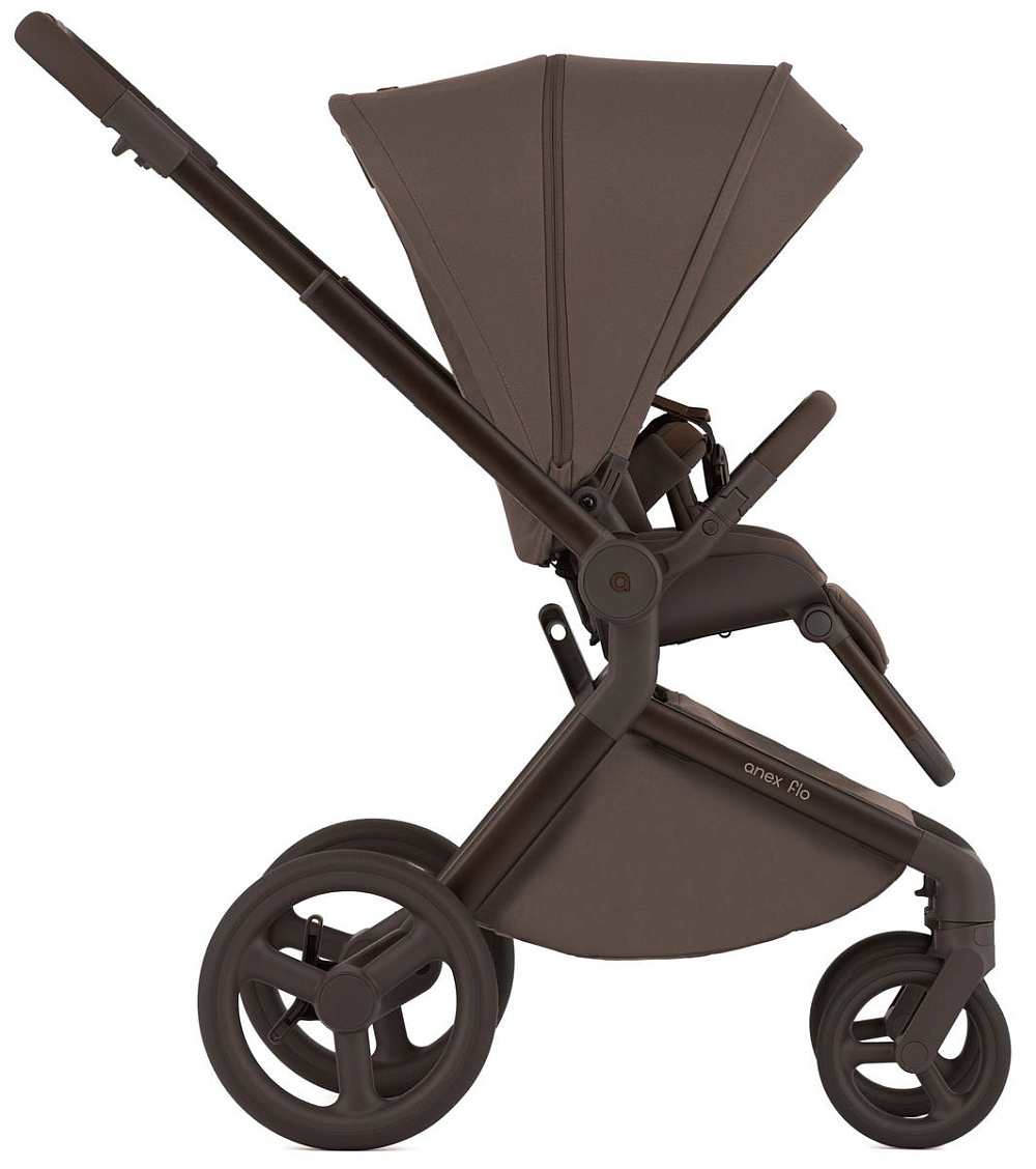 Детская коляска Anex Flo 2 в 1 Browny