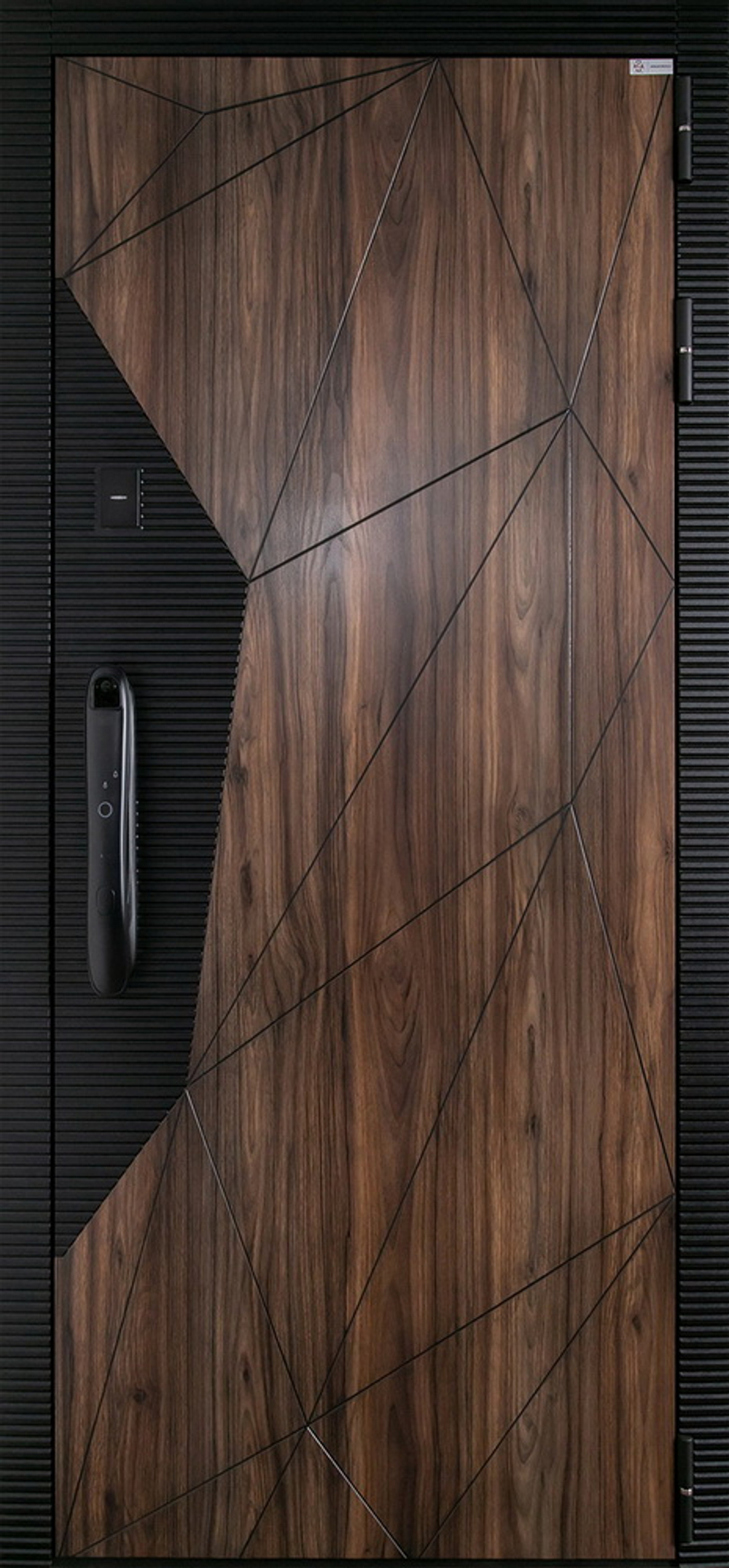 Стальная дверь "Сапсан" (биометрический замок DZ 888)