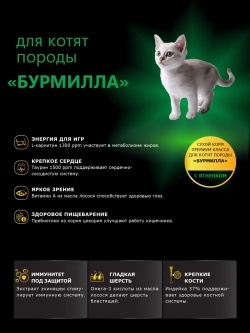 Корм для котят породы Бурмилла, с ягненком, 2 кг