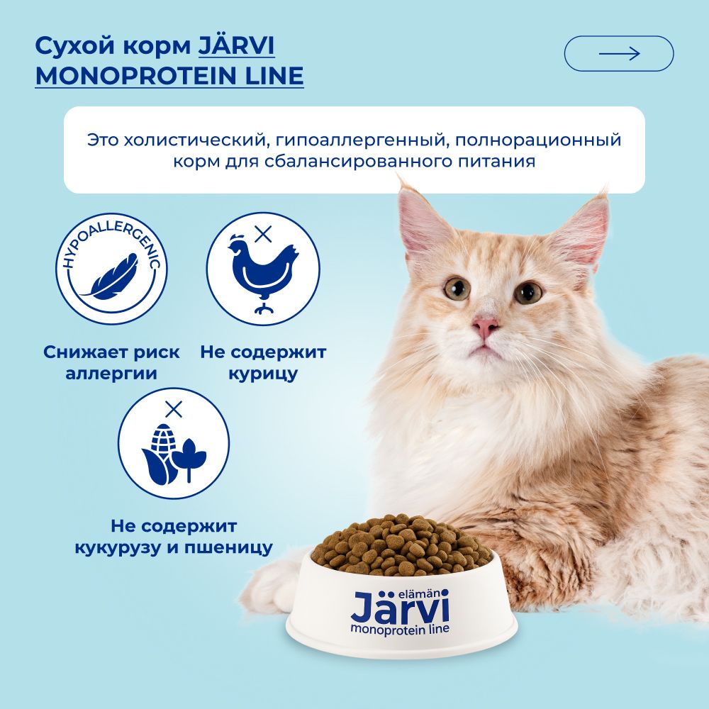 Сухой монопротеиновый корм Jarvi для взрослых кошек для здоровой кожи и красивой шерсти, говядина