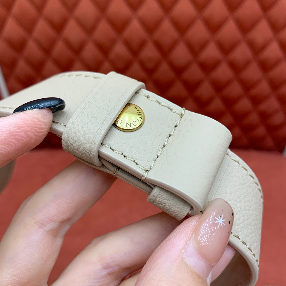 Louis Vuitton Low Key Cookie MM