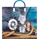 Пакет ПЭ с пластмассовыми ручками 38+3см(Матроскин) Глянцевый А (комплект 10 шт)