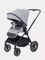 Коляска детская Rant MOSS (2в1) RA321 Gray