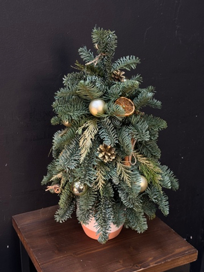 Новогодняя композиция «Елочка» с корицей и апельсинами