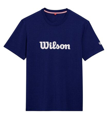 Мужская теннисная футболка Wilson Team Graphic - небесный