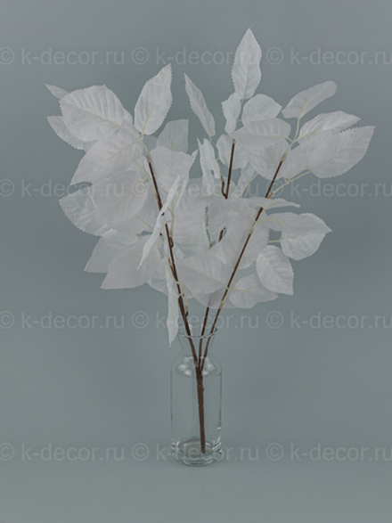 Куст Береза