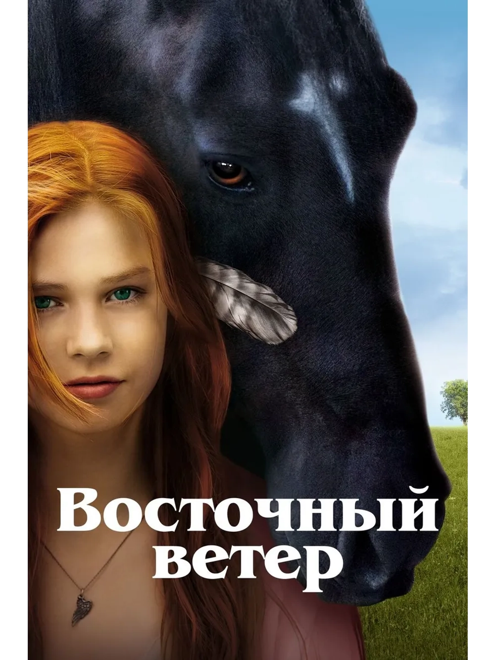 Восточный ветер (2013) (DVD-R)