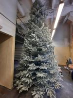 Большая елка заснеженная «Сказочная» (Литая+пвх) 6 м