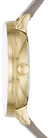 Женские часы Skagen SKW3091