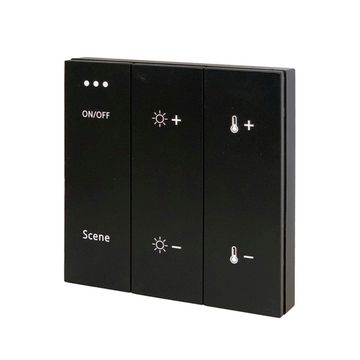 ST015.400.99 Беспроводная панель управления для SKYLIINE 220/SKYLINE 48 Черный 1 группа AROUND