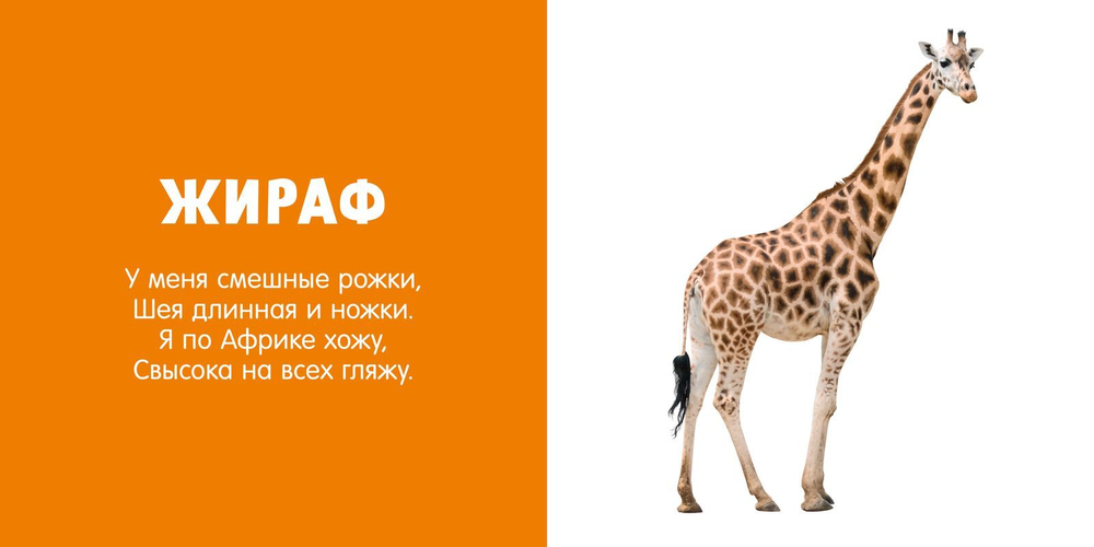 Первые слова. Любимые животные. Фотокнига со стихами