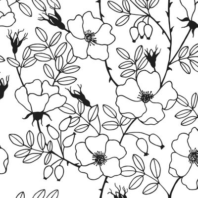 Seamless pattern.Rosehip plant with fruits and flowers.