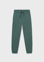 спортивные брюки