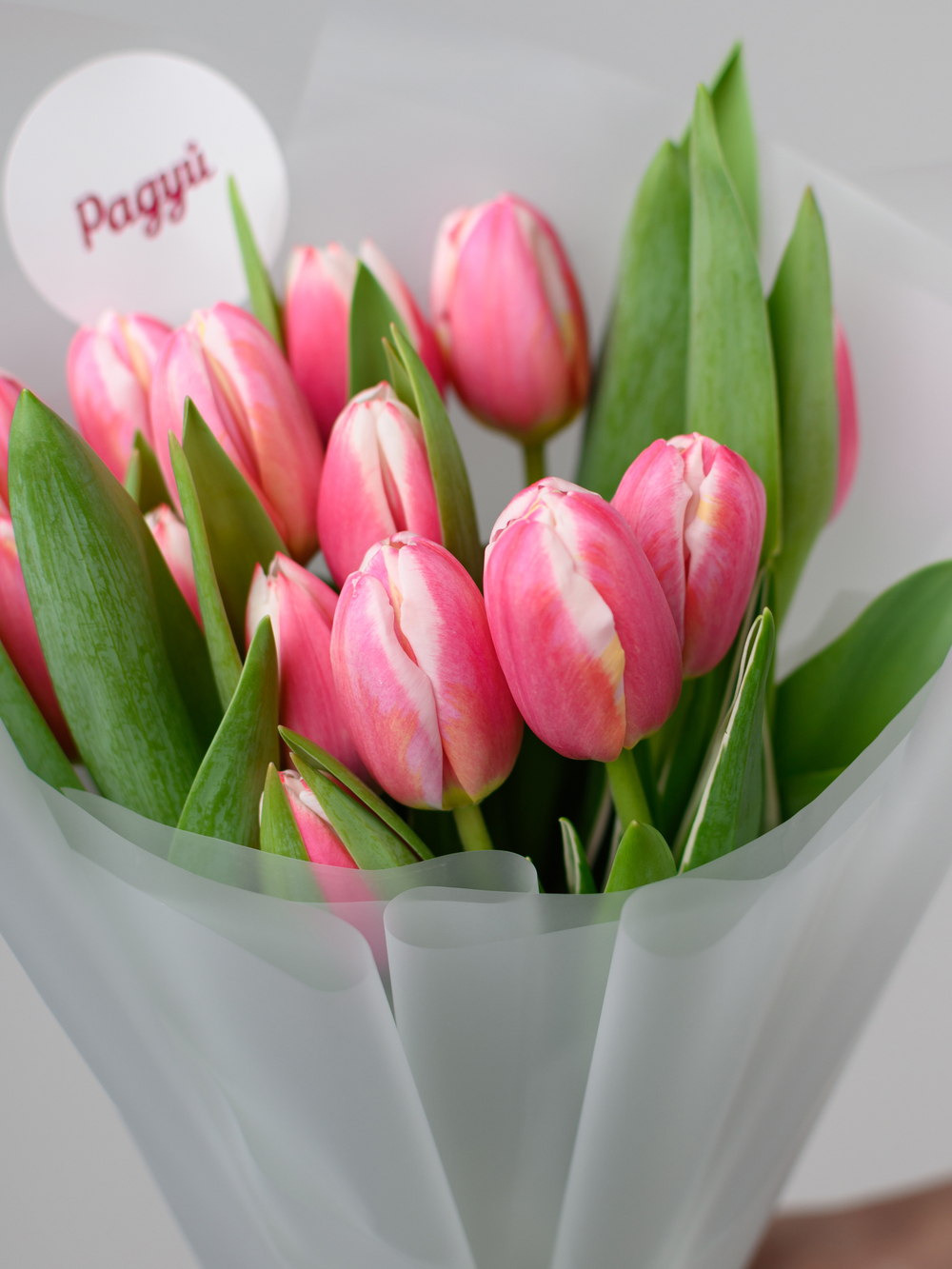 Тюльпаны микс