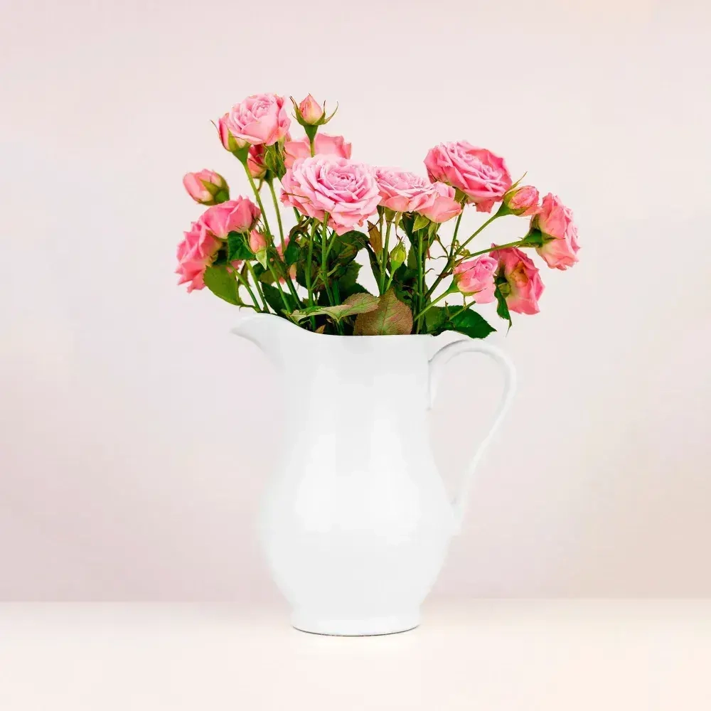 Аэрозольная краска SIANA Provence в баллончике для мебели и декора, металла и пластика, керамики и стекла, гипса и сухоцветов, цветов и радиаторов, 0.52 л, первый снег белый