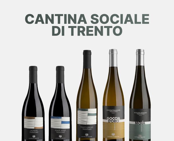 Cantina Sociale di Trento. Лучше гор могут быть только горы. И еще вина с этих гор