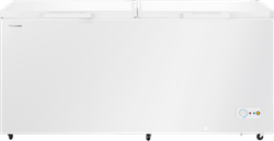 Морозильный ларь Hisense FC-66DD4SA