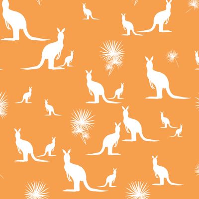 Кенгуру на оранжевом фоне