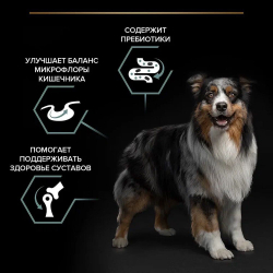 Сухой корм Pro Plan® SENSITIVE DIGESTION для собак средних пород с чувствительным пищеварением, с яг